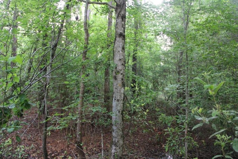 00 Stacey Bridge Rd Photo 4