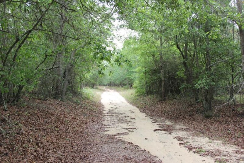 00 Stacey Bridge Rd Photo 5