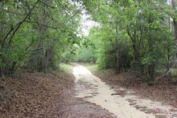 00 Stacey Bridge Rd photo 4