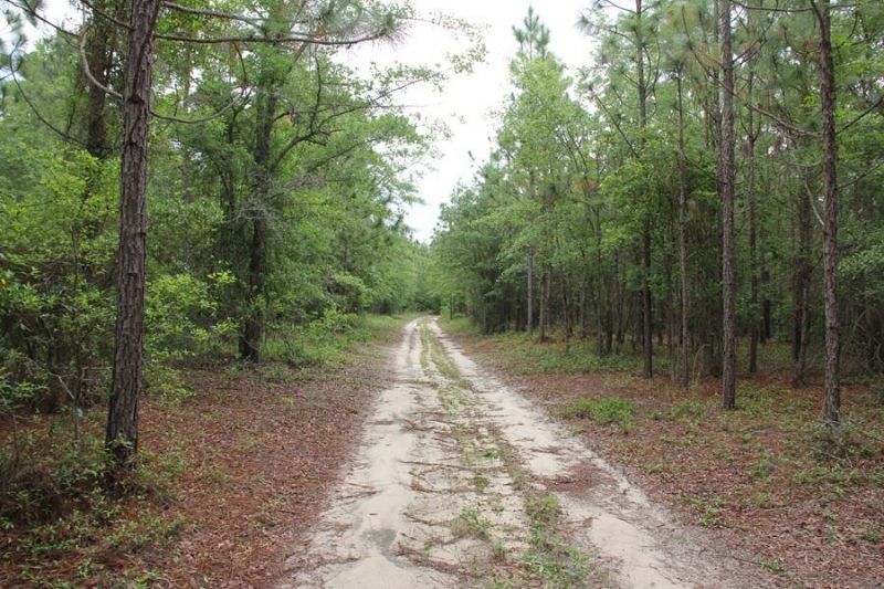 00 Stacey Bridge Rd Photo 8