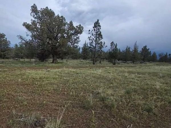 19.9 AC Surrey Ln, Canby, CA 96015