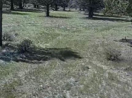 19.9 Ac Surrey Ln, Canby, CA 96015 Photo
