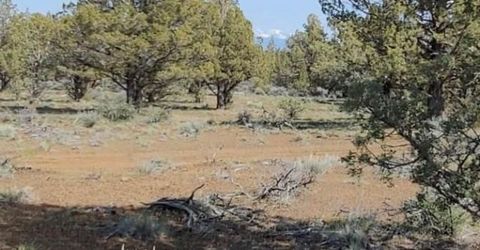 19.9 Ac Surrey Ln, Canby, CA 96015 Photo
