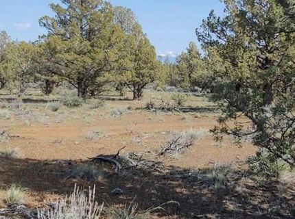 19.9 Ac Surrey Ln, Canby, CA 96015 Photo