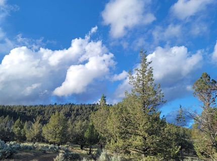 19.9 Ac Surrey Ln, Canby, CA 96015 Photo