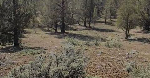 19.9 Ac Surrey Ln, Canby, CA 96015 Photo