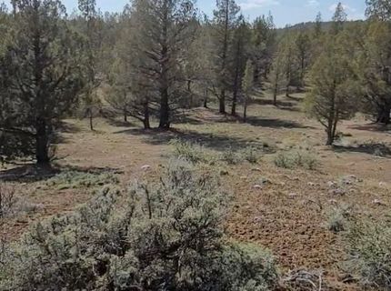 19.9 Ac Surrey Ln, Canby, CA 96015 Photo