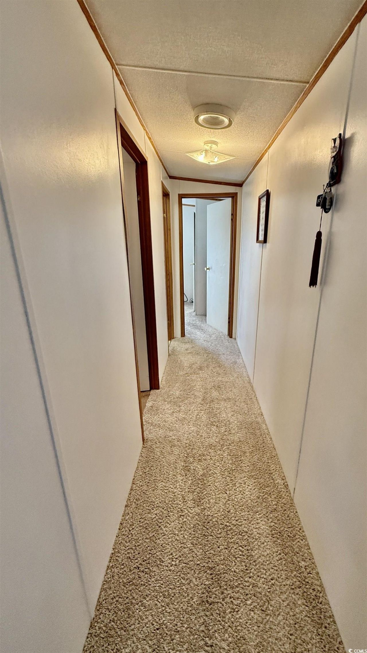 1056 Hunter Way Photo 22