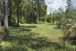 Tbd Hampton Rd. photo 4