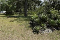 Tbd Hampton Rd. photo 4