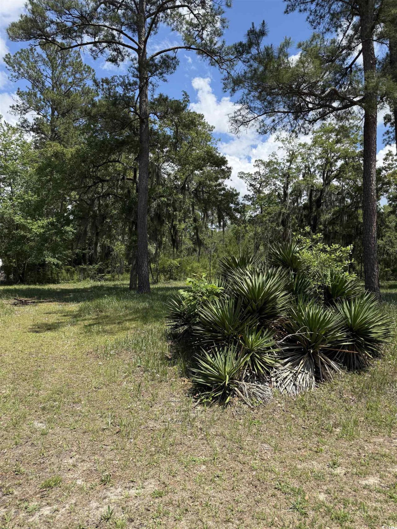 Tbd Hampton Rd. Photo 7