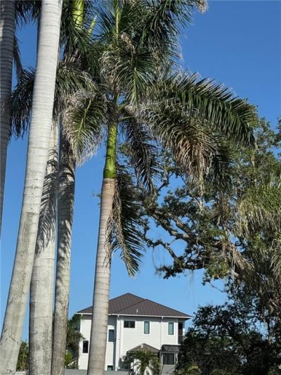 27559 Big Bend Rd, Bonita Springs, FL 34134 Photo