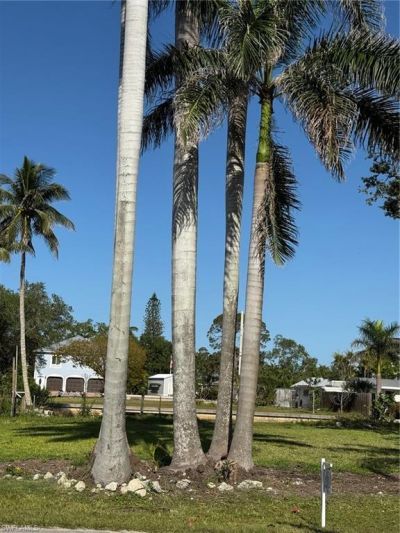 27559 Big Bend Rd, Bonita Springs, FL 34134 Photo