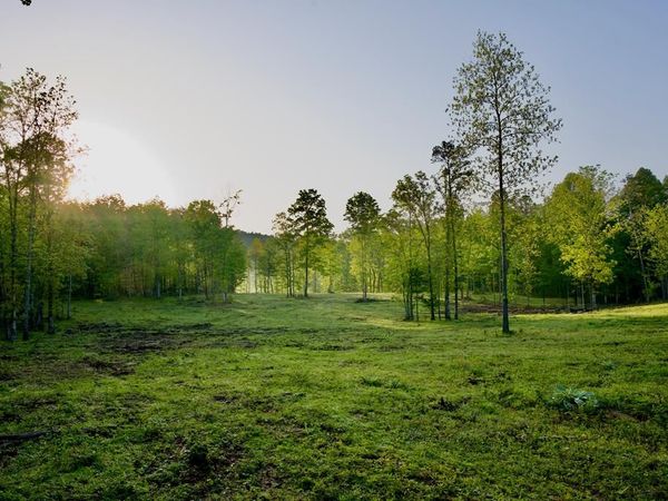 40.46AC Barker Cove Loop N Of, Palmer, TN 37365