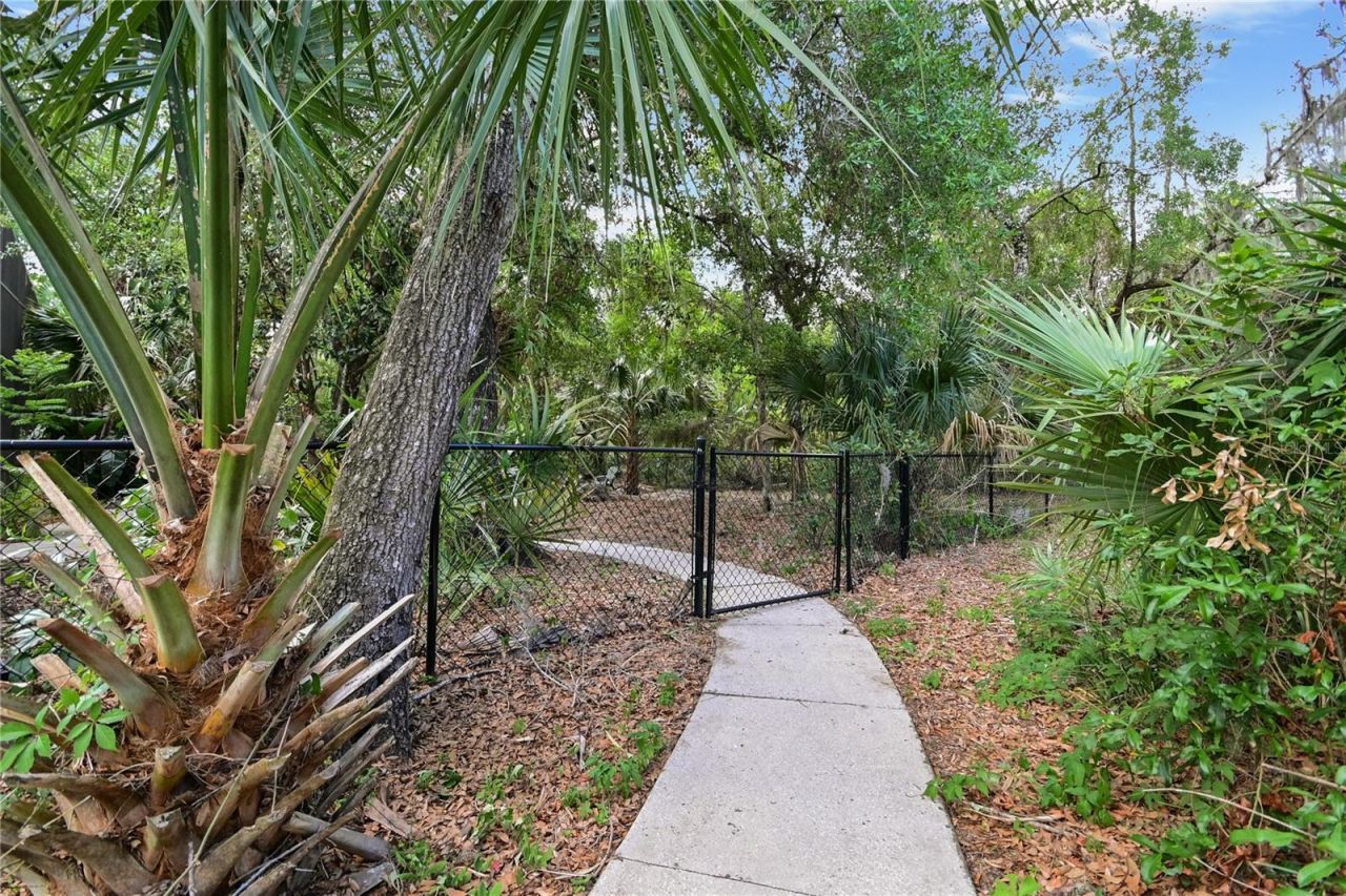 682 Ferncliff Drive, Port Orange, FL 32127 Photo