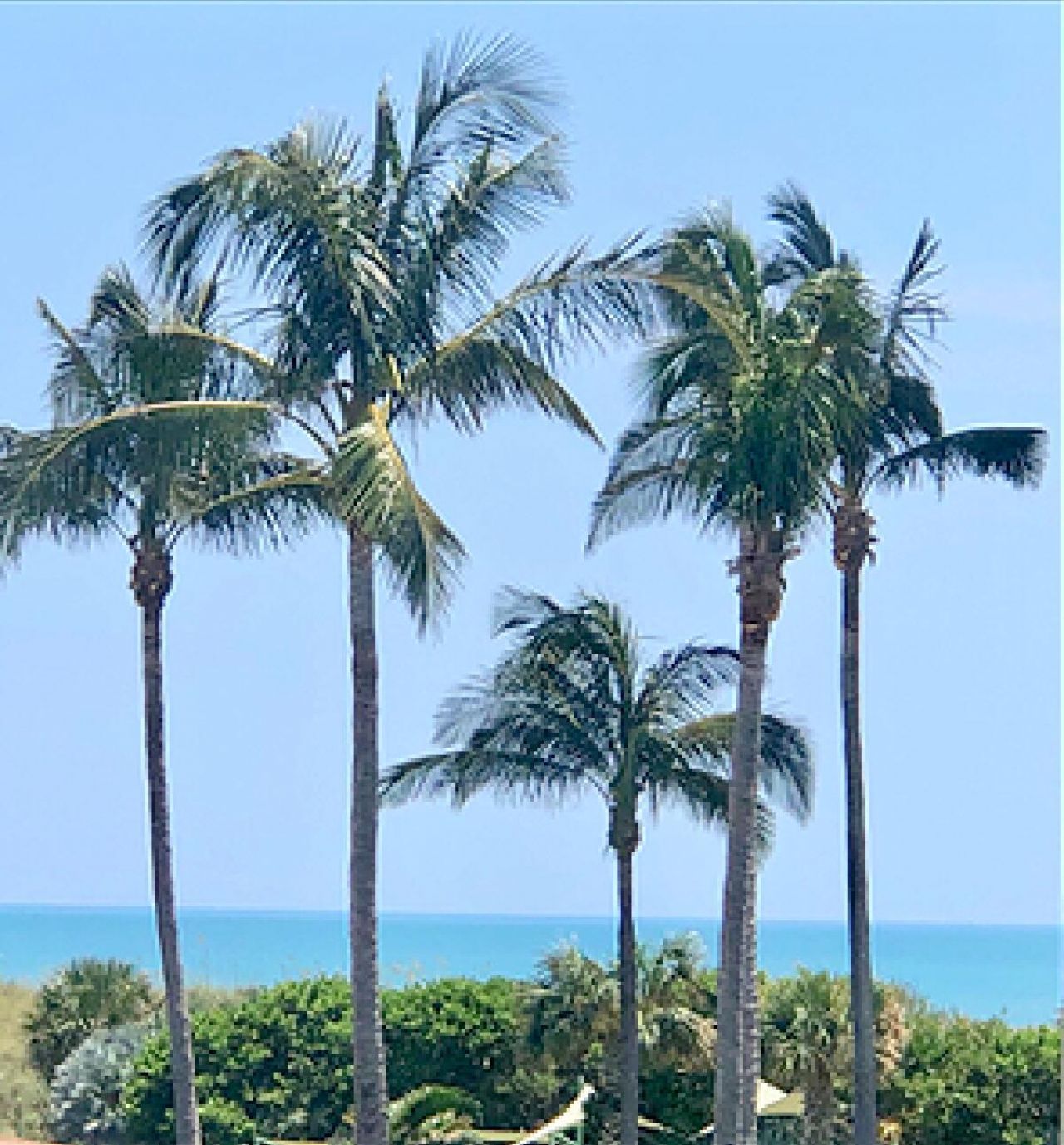 2400 S Ocean Drive, Unit 1033, Fort Pierce, FL 34949 Photo