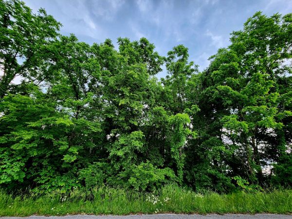 0 Ashley Lane, Dayton, TN 37321