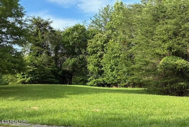 Lot 17 Waterstone Drive, Dandridge, TN 37725 Main Photo