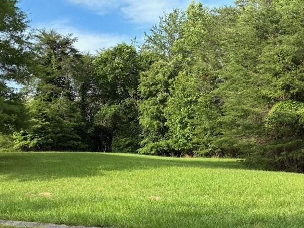 Lot 17 Waterstone Drive, Dandridge, TN 37725