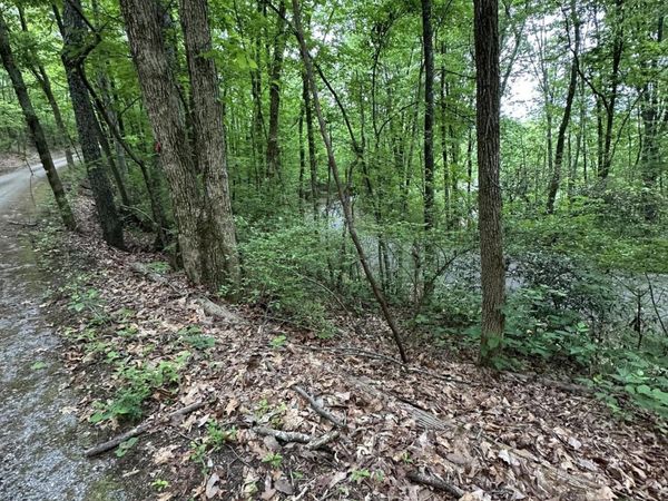 0 Wheeler Avenue, Chattanooga, TN 37406