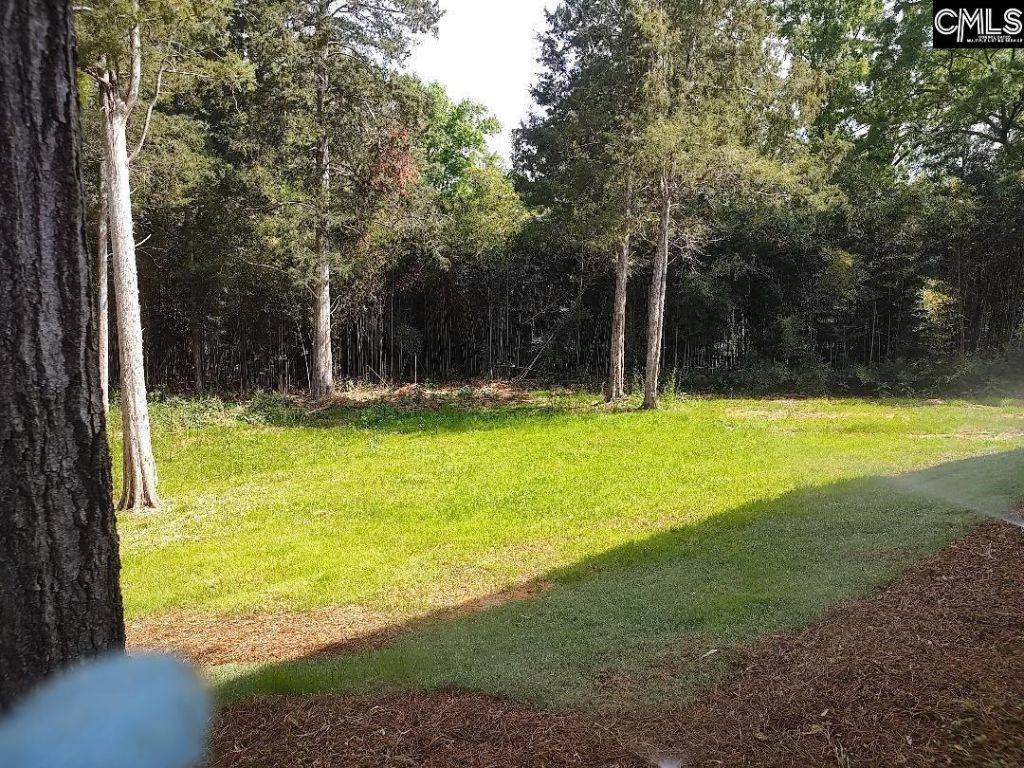 10 Saints Creek Place Photo 85