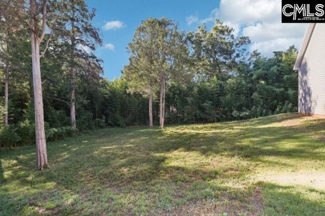 10 Saints Creek Place Photo 86