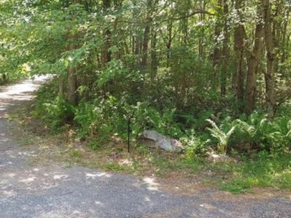 N SYCAMORE & LAUAN LANE, Unit B193 &, JIM THORPE, PA 18229