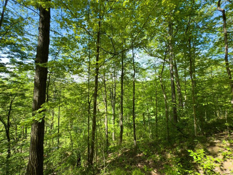 140 Sycamore Street, Glouster, OH 45732 Photo 11