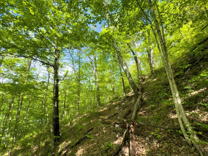 140 Sycamore Street, Glouster, OH 45732 Photo 12