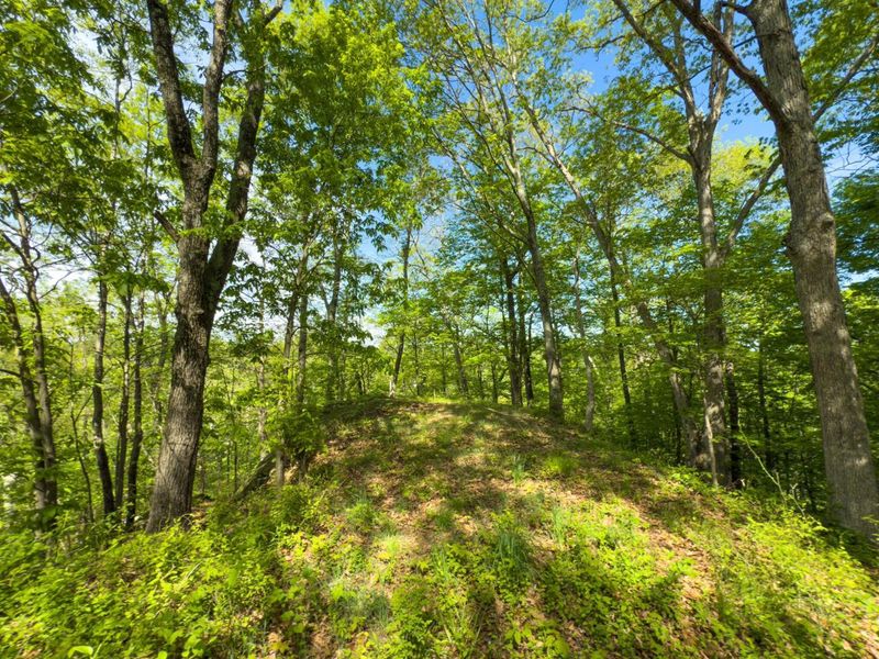 140 Sycamore Street, Glouster, OH 45732 Photo 13