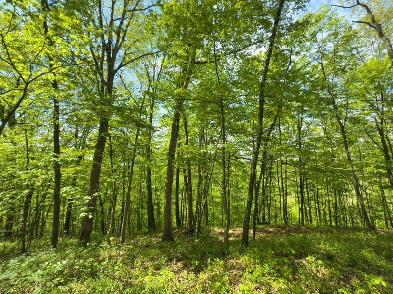 140 Sycamore Street, Glouster, OH 45732 Photo 16