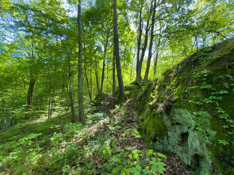 140 Sycamore Street, Glouster, OH 45732 Photo 19