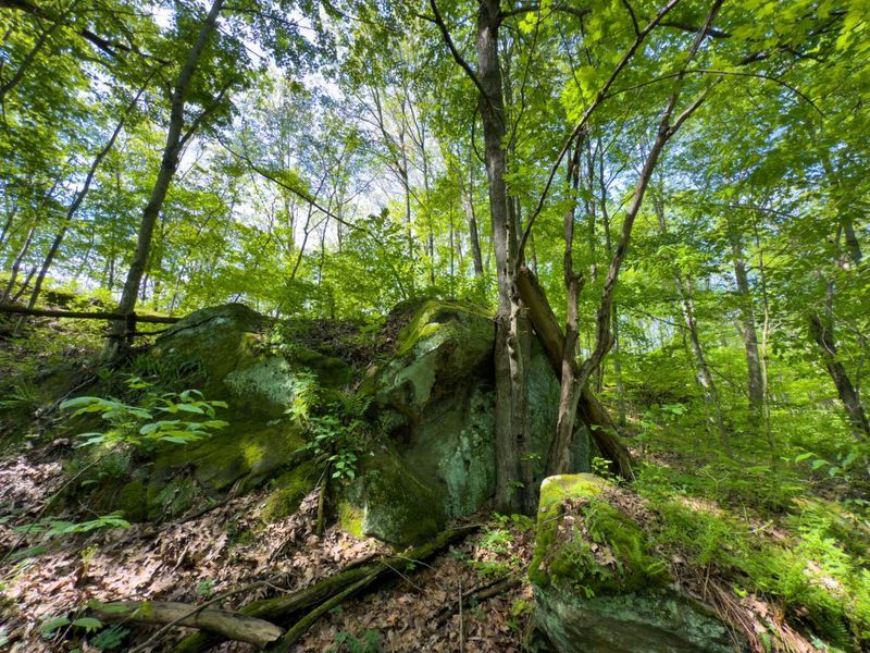 140 Sycamore Street, Glouster, OH 45732 Photo 20