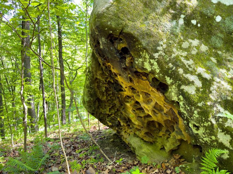 140 Sycamore Street, Glouster, OH 45732 Photo 21