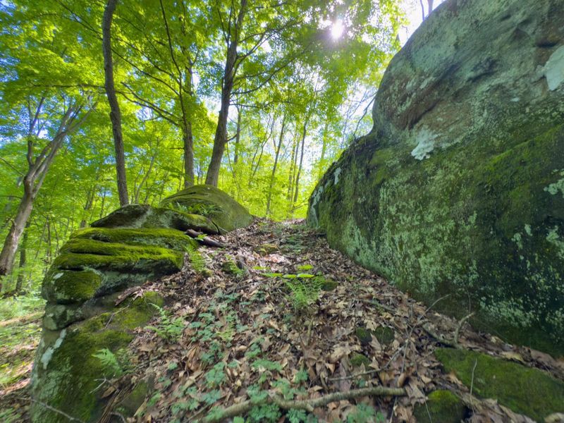 140 Sycamore Street, Glouster, OH 45732 Photo 22