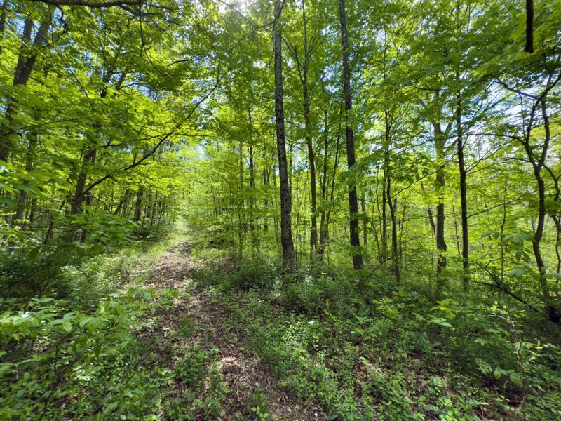 140 Sycamore Street, Glouster, OH 45732 Photo 23