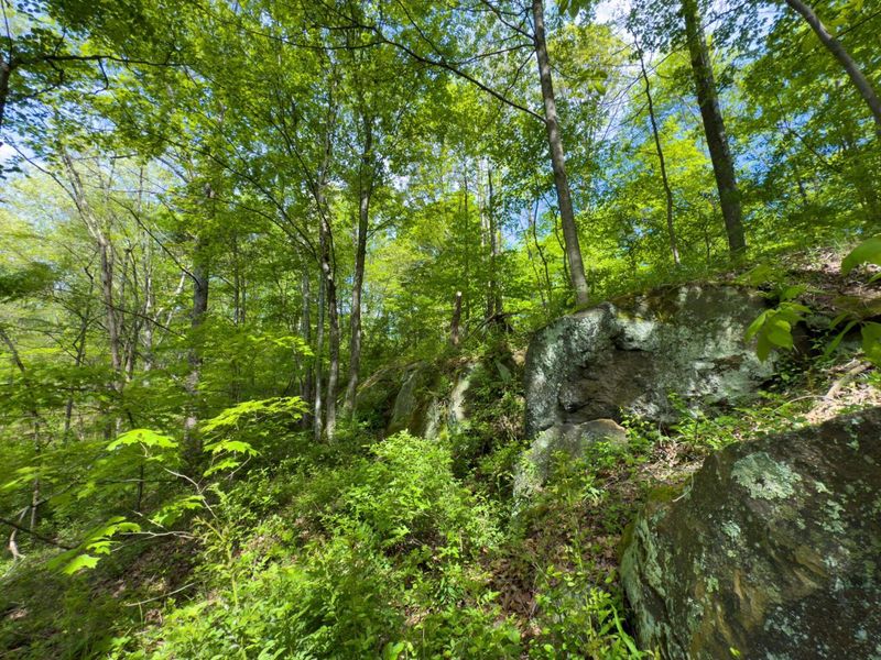 140 Sycamore Street, Glouster, OH 45732 Photo 25