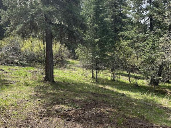 Parcel B Elk City Wagon Road, Stites, ID 83539