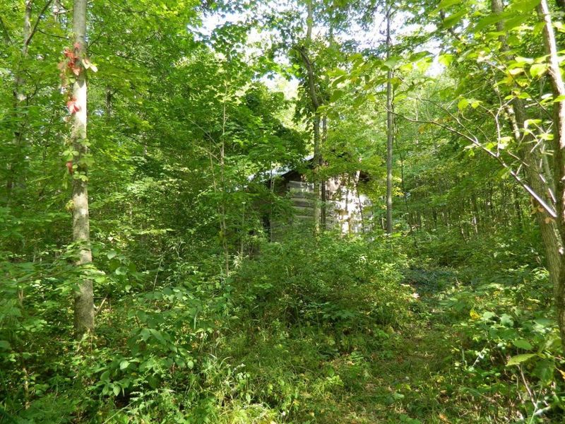 30650 State Route 739, Richwood, OH 43344 Photo 11