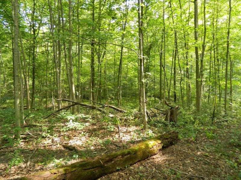 30650 State Route 739, Richwood, OH 43344 Photo 14