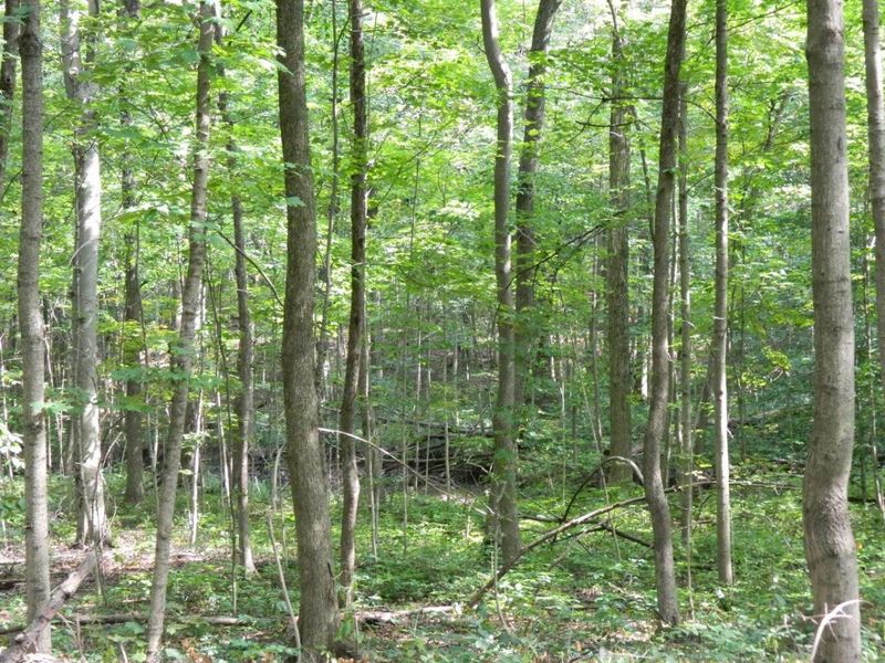 30650 State Route 739, Richwood, OH 43344 Photo 16