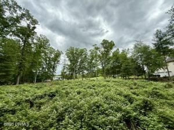 ROADARMEL Lane, Paxinos, PA 17860