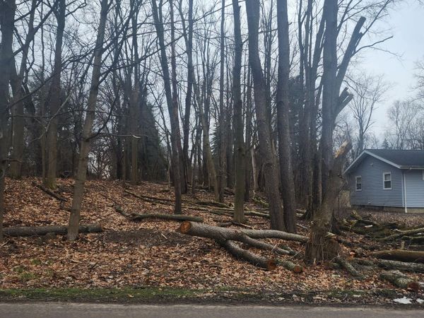 Burt Ave, Jackson, MI 49201