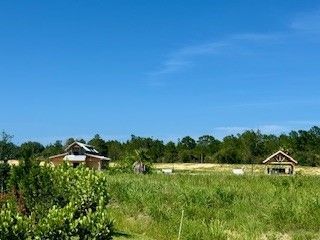 49 White Pelican Lane, Sebastian, FL 32958 Photo