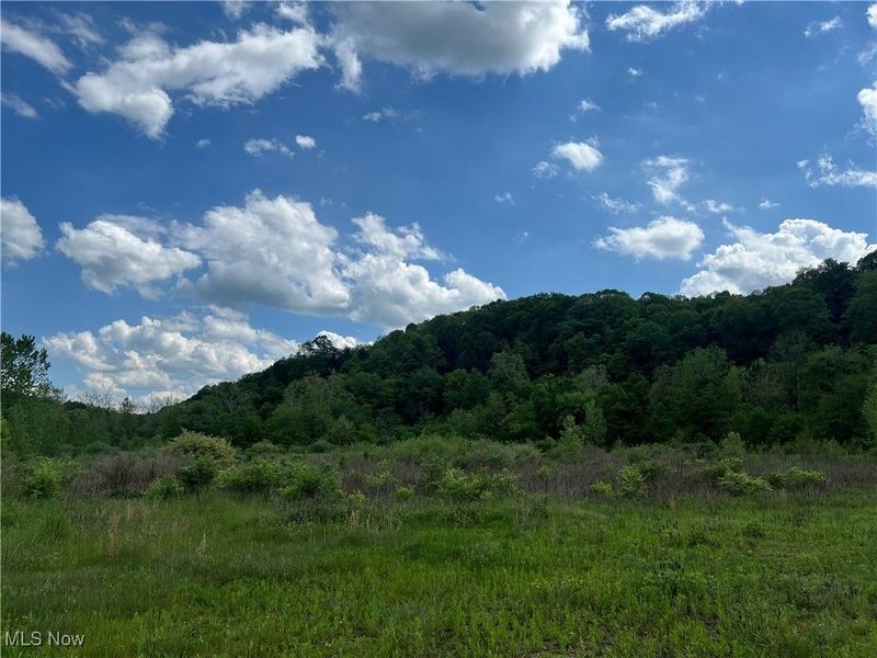 9405 Jackman Road, Negley, OH 44441 Photo 2