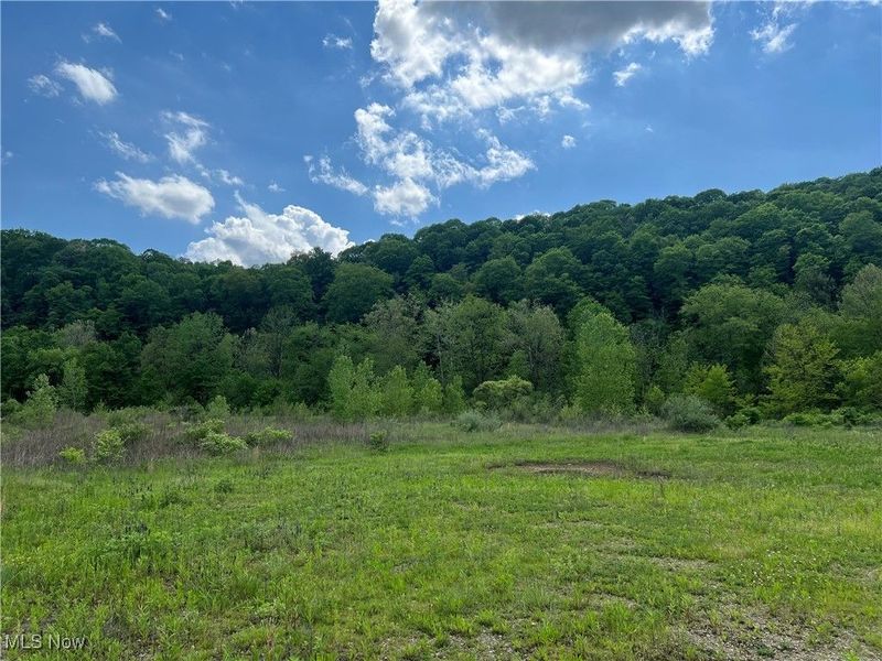 9405 Jackman Road, Negley, OH 44441 Photo 3