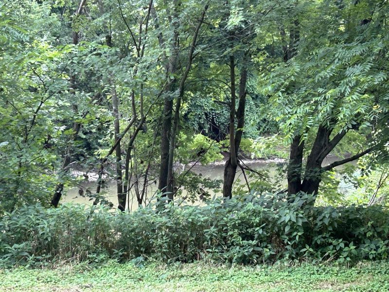 4285 HWY 467, Glencoe, KY 41046 Photo 10