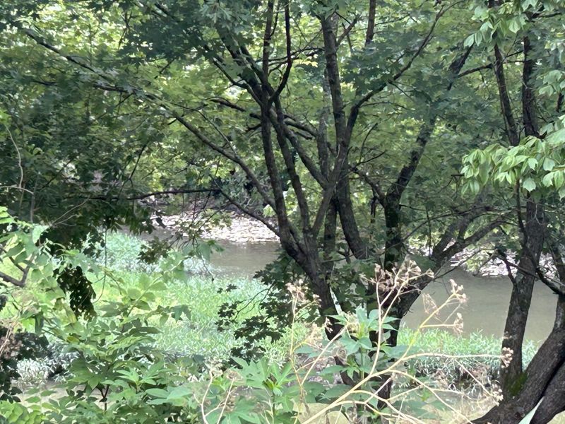 4285 HWY 467, Glencoe, KY 41046 Photo 11