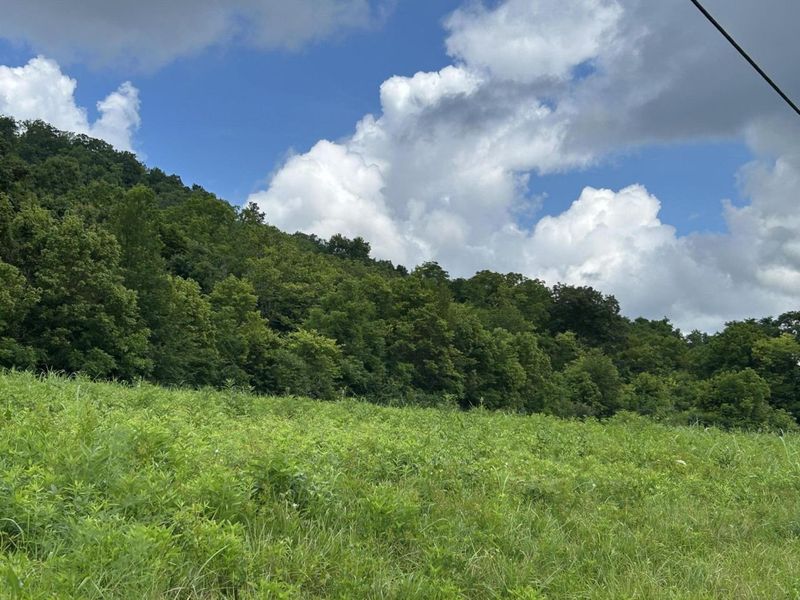 4285 HWY 467, Glencoe, KY 41046 Photo 2