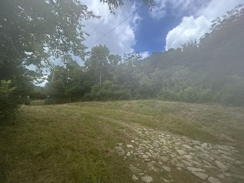 4285 HWY 467, Glencoe, KY 41046 Photo 4